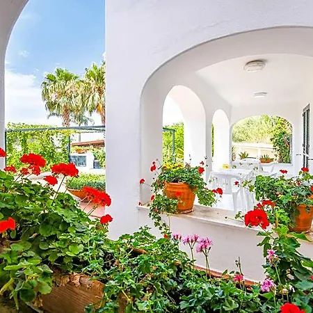 Apartment San Domenico